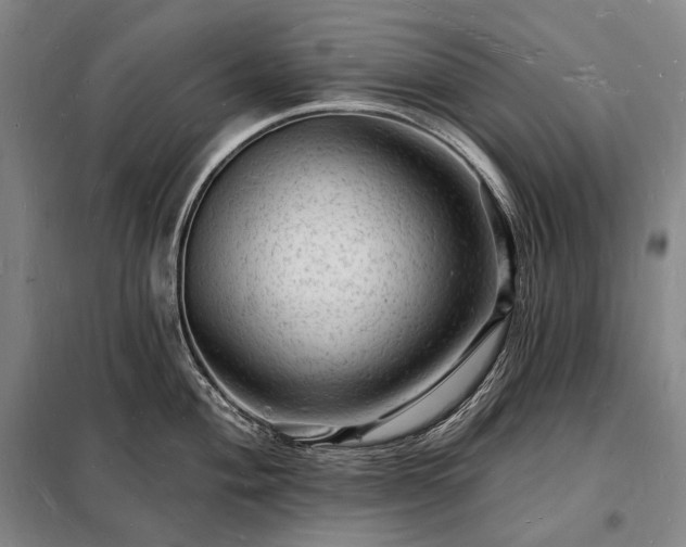 X0000098231004200805011253