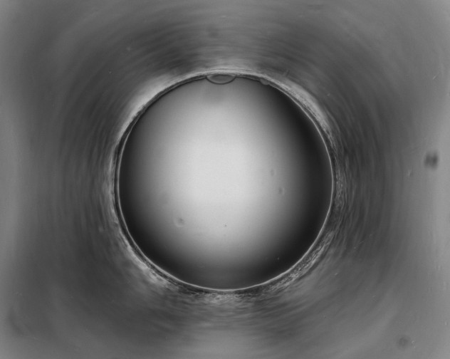 X0000098231006200805011253