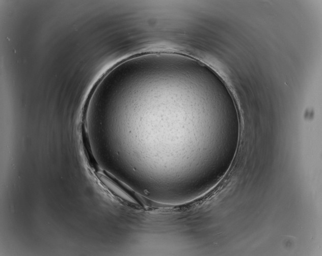 X0000098231008200805011253