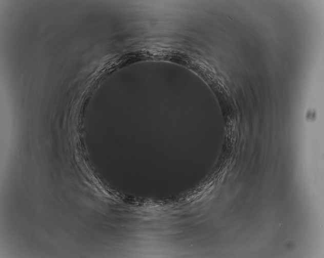 X0000098231009200805011252