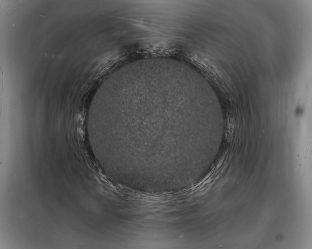 X0000098231010200805011252