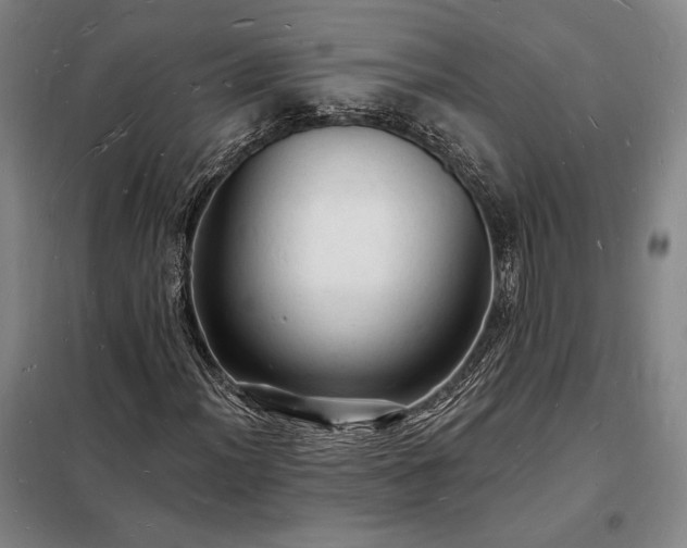 X0000098231012200805011252