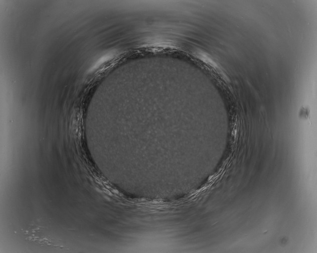 X0000098231014200805011252