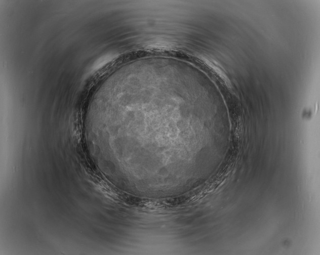 X0000098231015200805011252