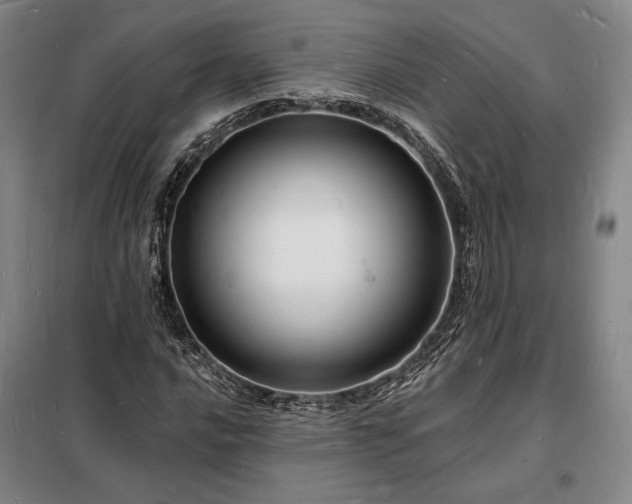 X0000098231016200805011252