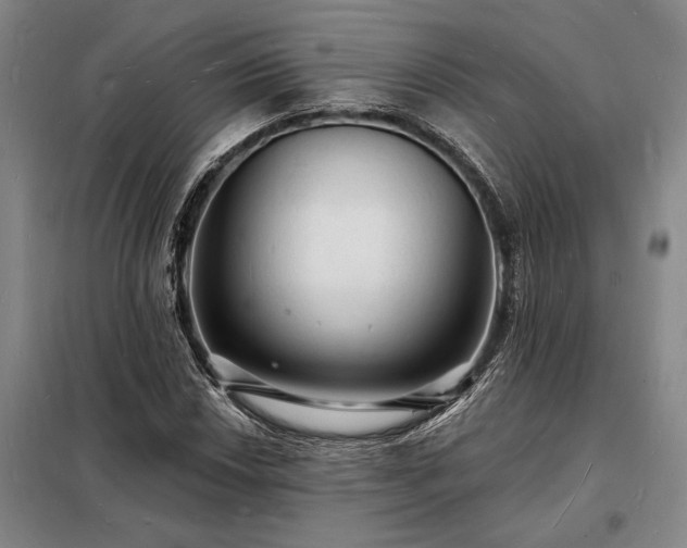 X0000098231018200805011252