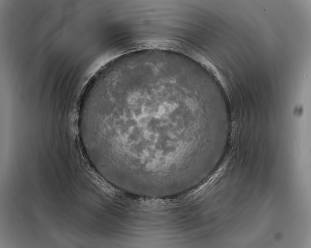 X0000098231019200805011252