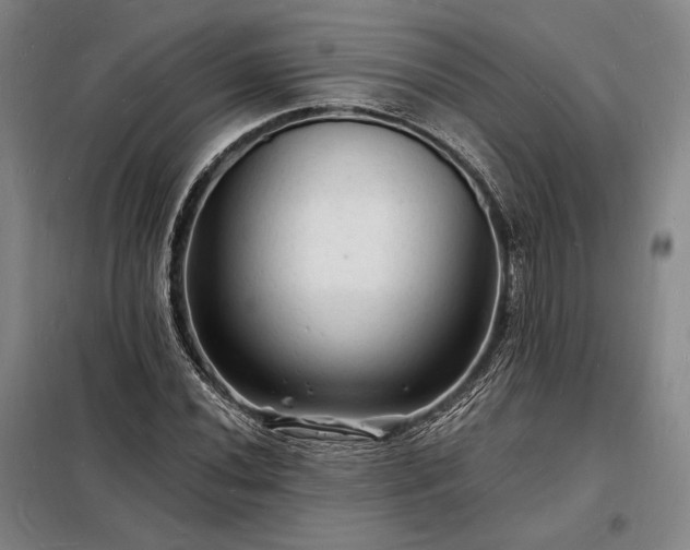 X0000098231020200805011252