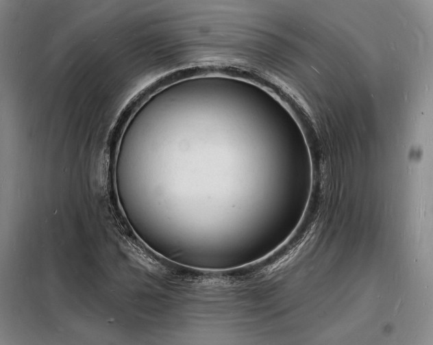 X0000098231021200805011252