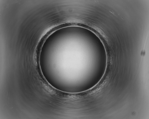X0000098231022200805011252