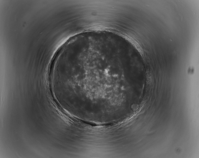 X0000098231023200805011252