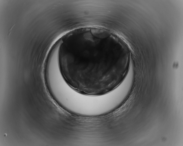 X0000098231024200805011252