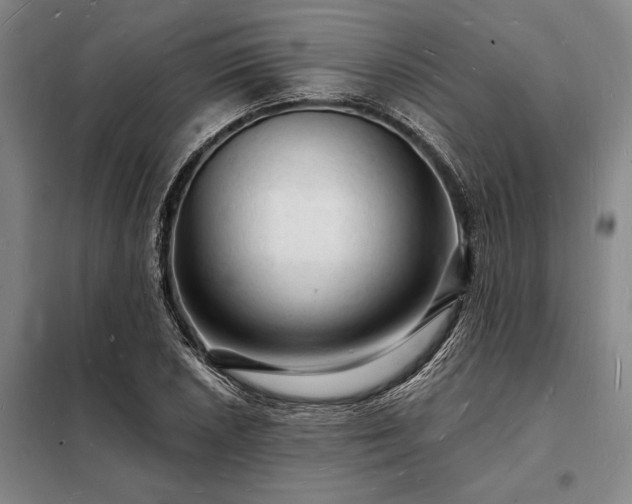 X0000098231026200805011252