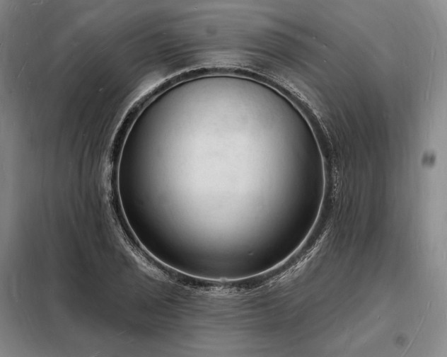 X0000098231029200805011253