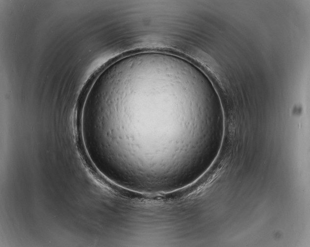 X0000098231030200805011253
