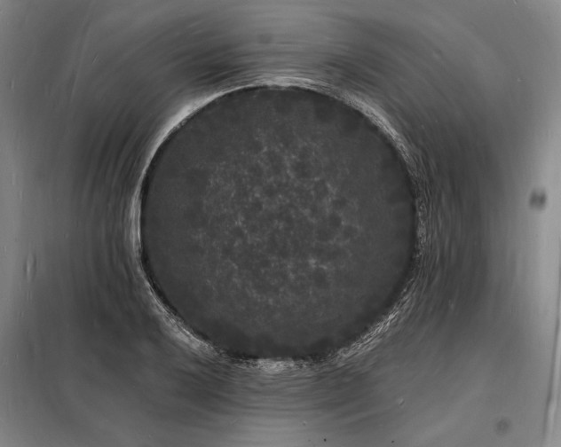 X0000098231032200805011253