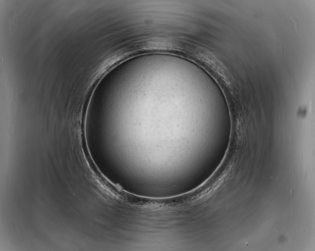 X0000098231033200805011253