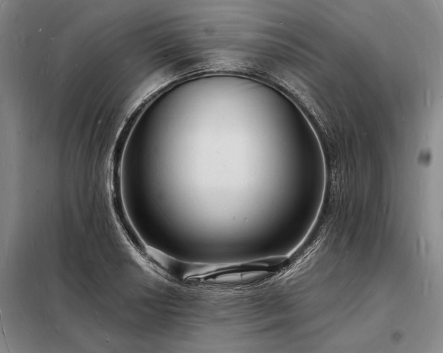 X0000098231034200805011253