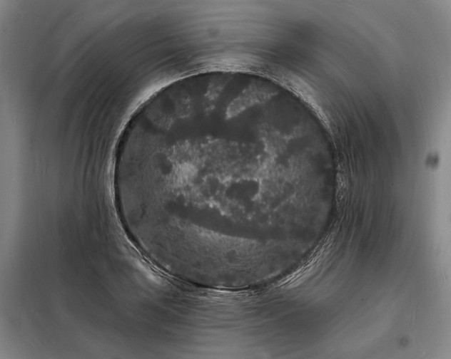 X0000098231035200805011253