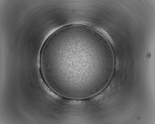 X0000098231036200805011253