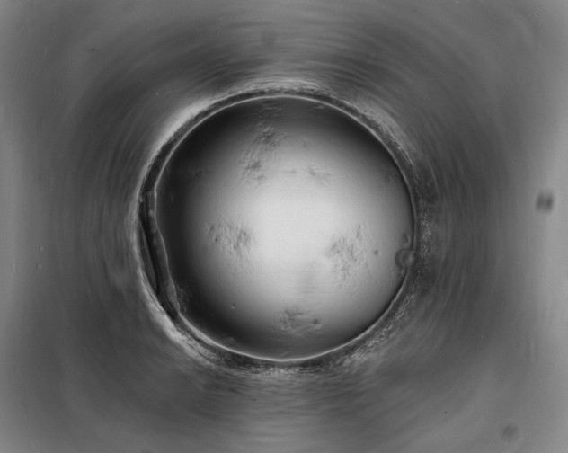 X0000098231038200805011253