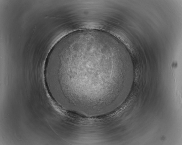 X0000098231039200805011253