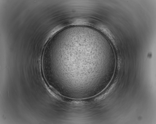 X0000098231041200805011253