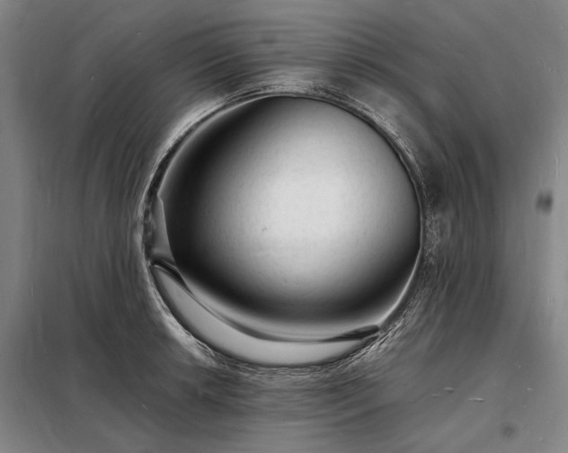 X0000098231042200805011253
