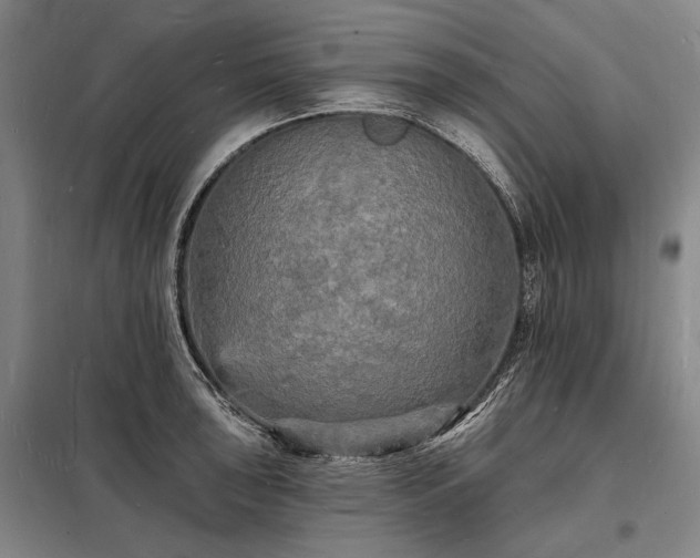 X0000098231043200805011253