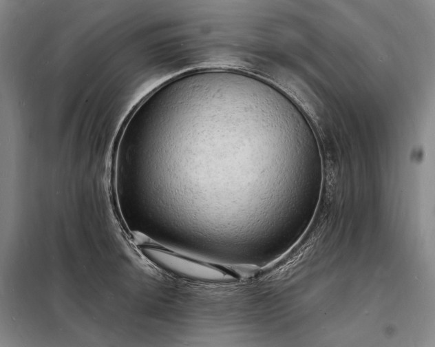 X0000098231044200805011253