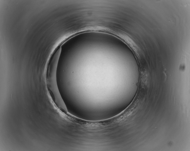 X0000098231046200805011253