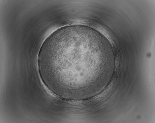 X0000098231047200805011253