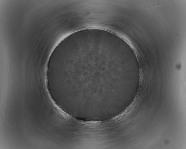 X0000098231048200805011253