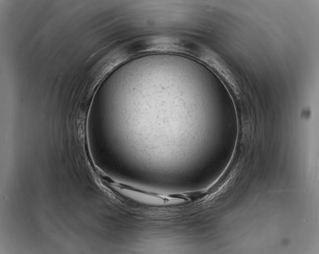 X0000098231049200805011253