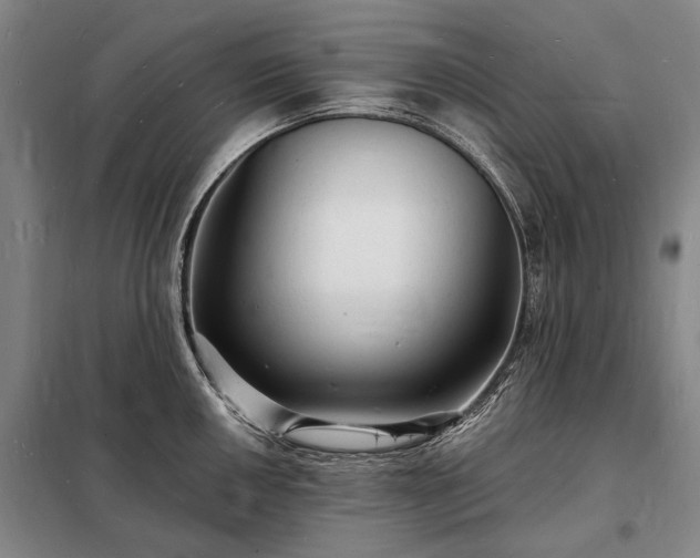 X0000098231050200805011253