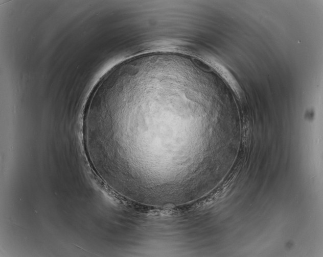 X0000098231051200805011253