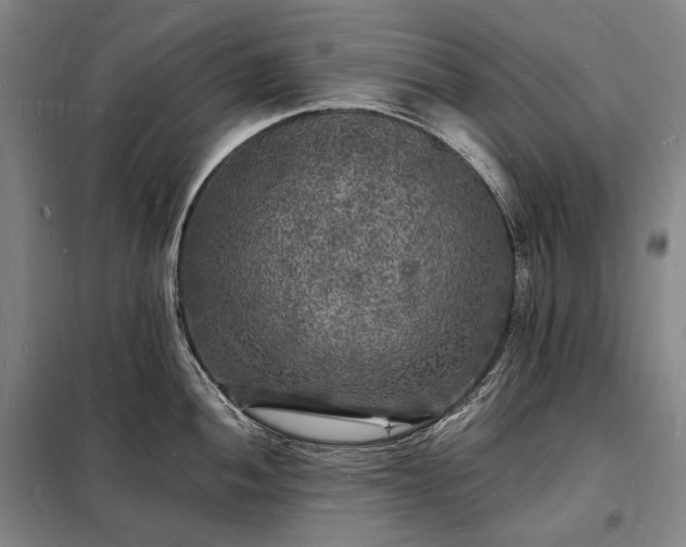X0000098231052200805011253