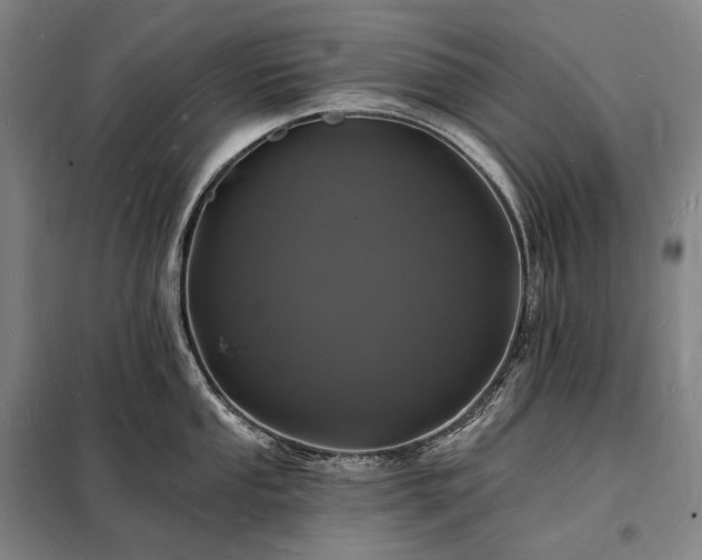 X0000098231053200805011253