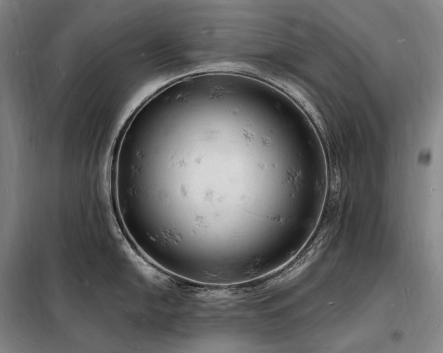 X0000098231054200805011253