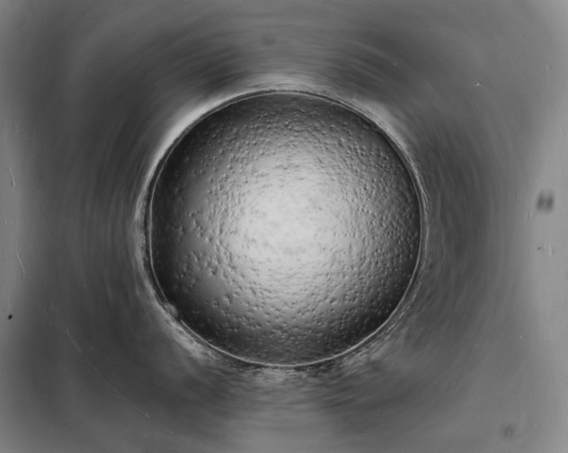 X0000098231056200805011253