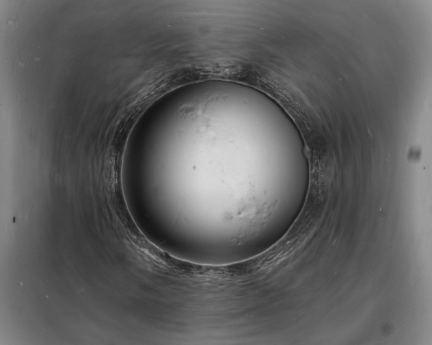 X0000098231058200805011252