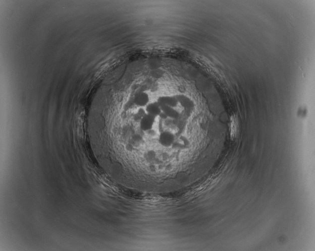 X0000098231059200805011252