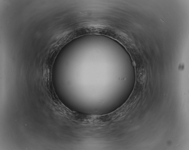 X0000098231061200805011252