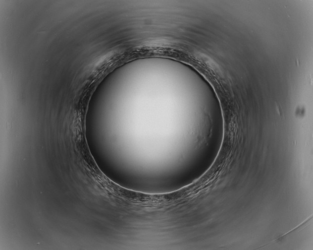 X0000098231062200805011252