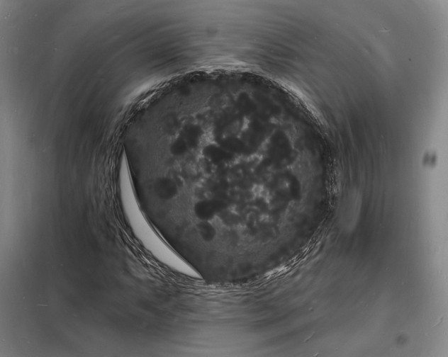 X0000098231063200805011252