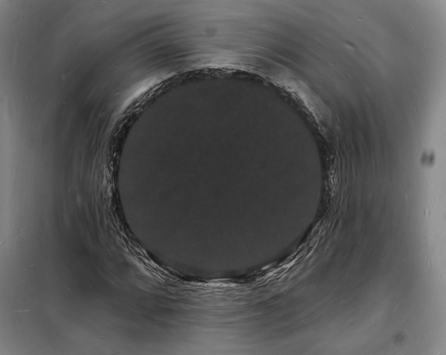 X0000098231064200805011252