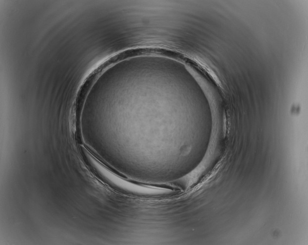 X0000098231069200805011252