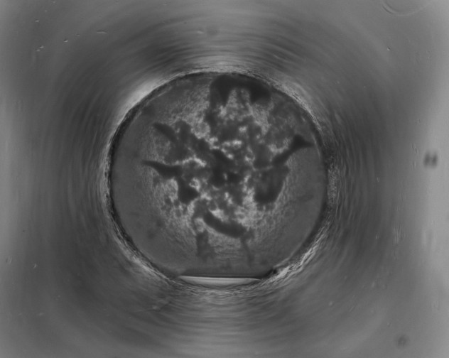 X0000098231071200805011252