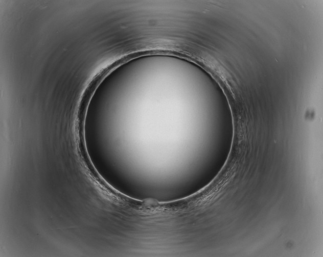 X0000098231072200805011252