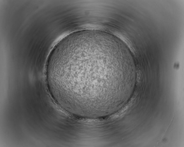X0000098231074200805011252